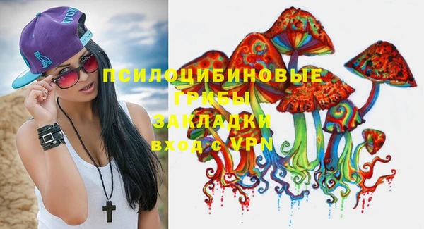 хмурый Зеленокумск