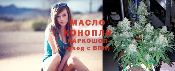 2c-b Зеленодольск